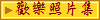 歡樂照片集